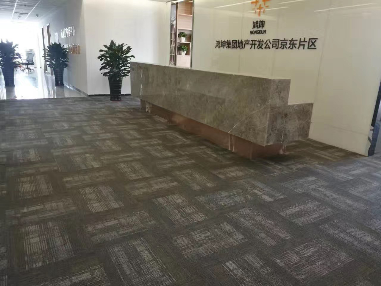 شركة تطوير العقارات لمجموعة هونغكون